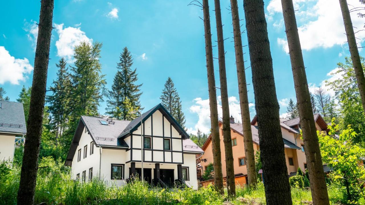 Hello Apartamenty - Szyszka Dwupoziomowa Карпач Экстерьер фото